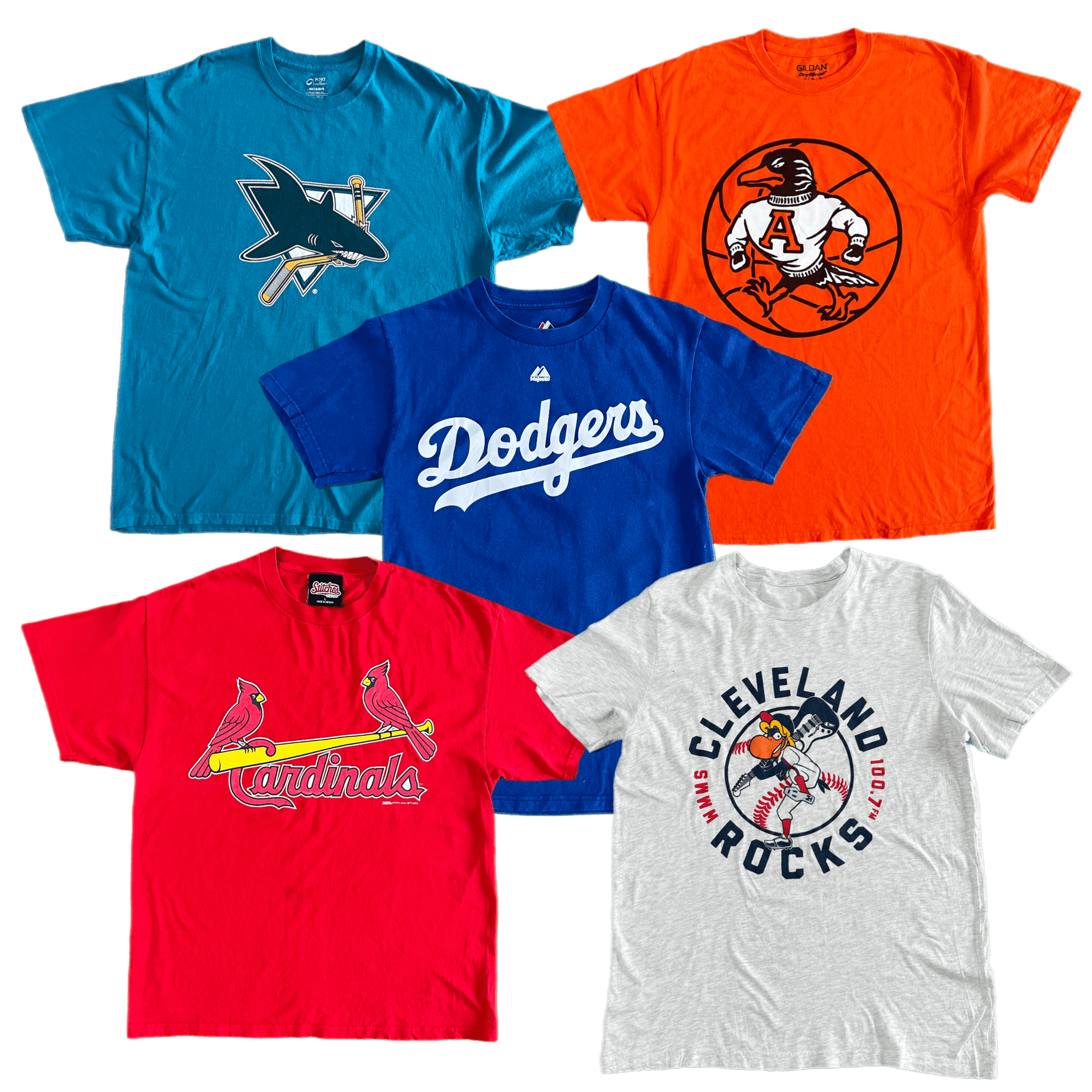 Collection of PRO T-SHIRTS in a gallery layout