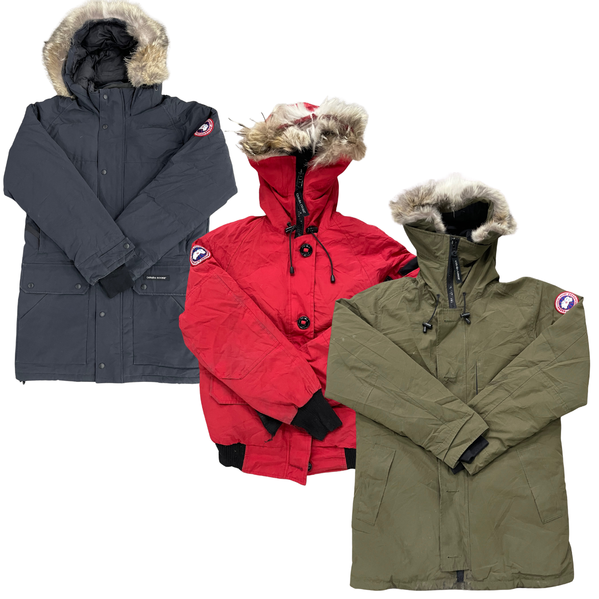 Collection of 6X CANADA GOOSE JACKET in a gallery layout