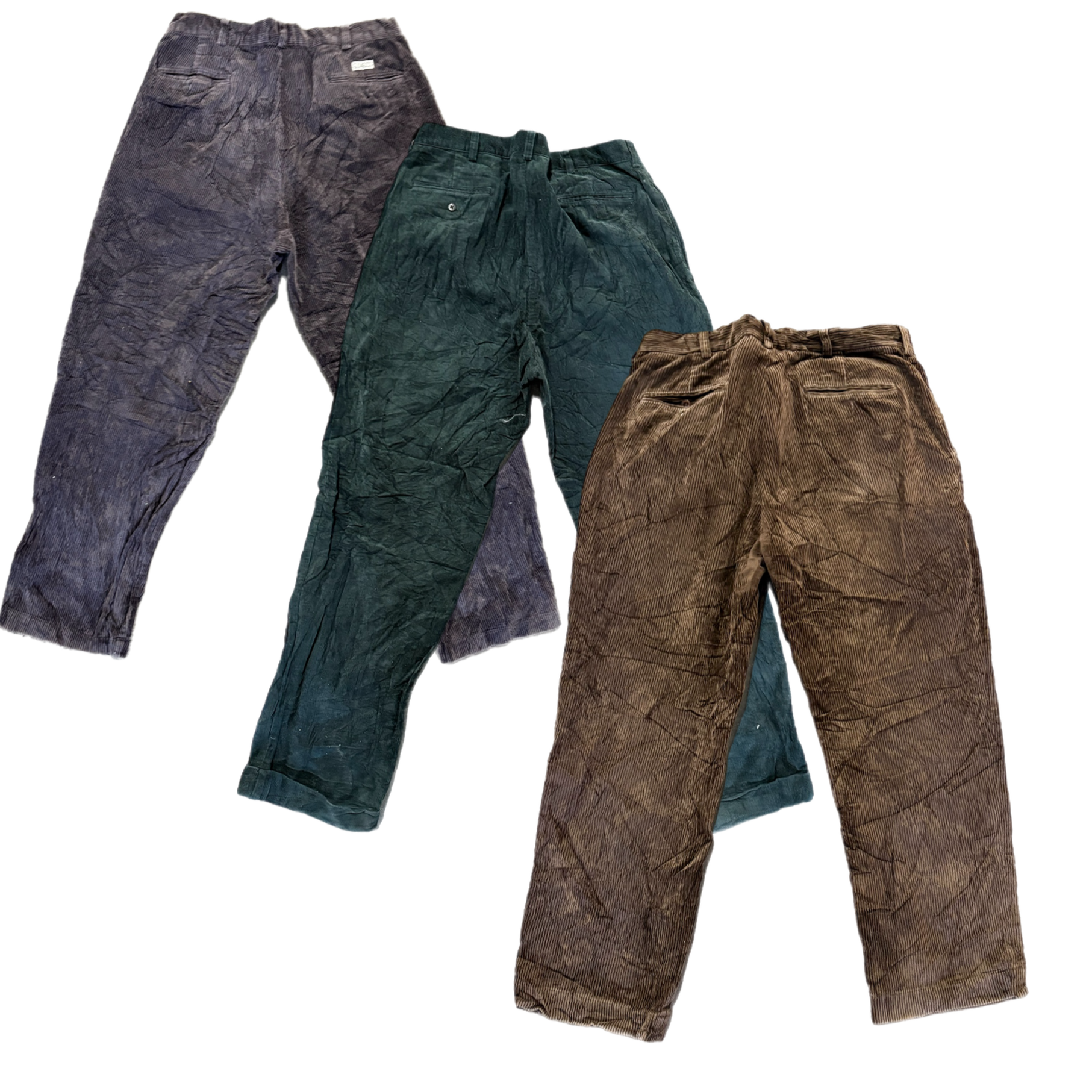 Collection of POLO CORDUROY PANTS in a gallery layout