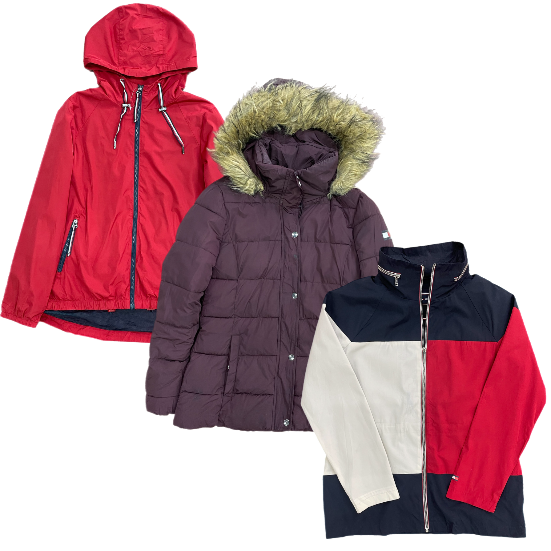 Collection of TOMMY HILFIGER LADIES JACKET in a gallery layout