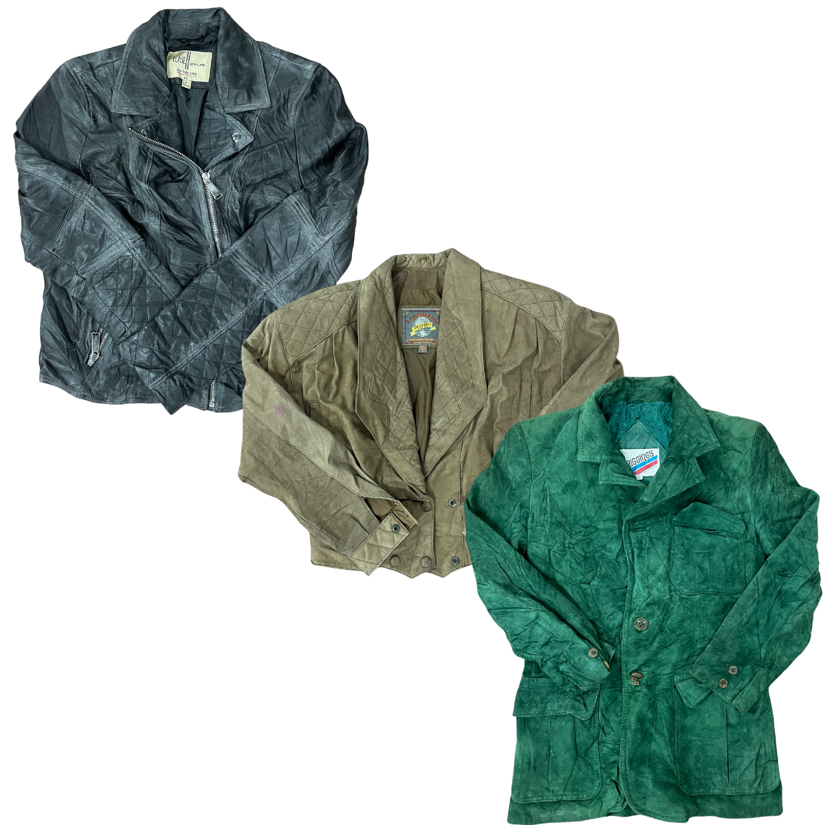 Collection of  in a gallery layout