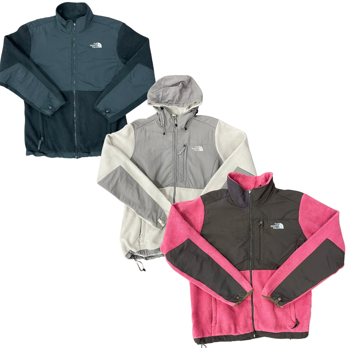 Collection of 25X THE NORTH FACE DENALI in a gallery layout