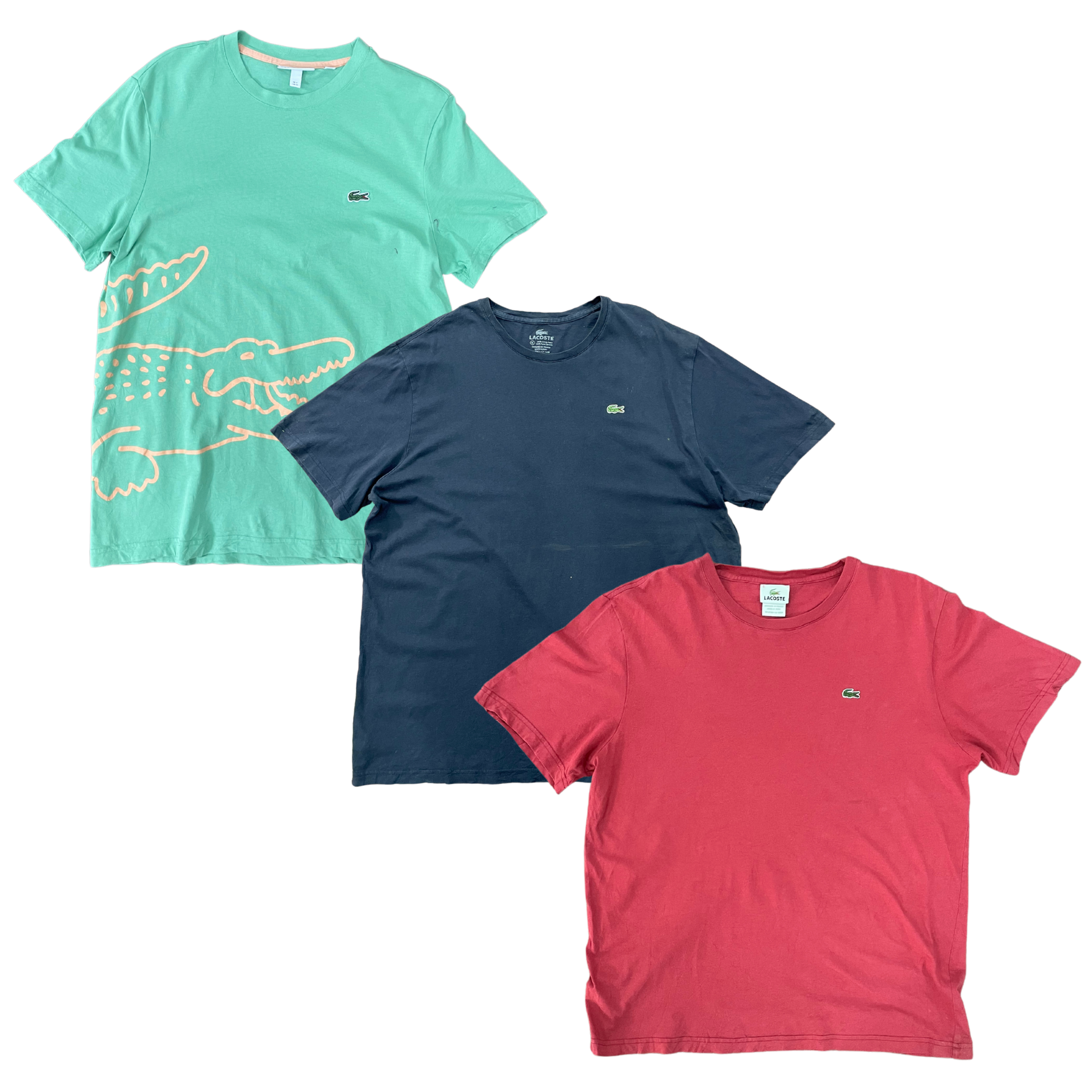 Collection of LACOSTE T-SHIRT in a gallery layout