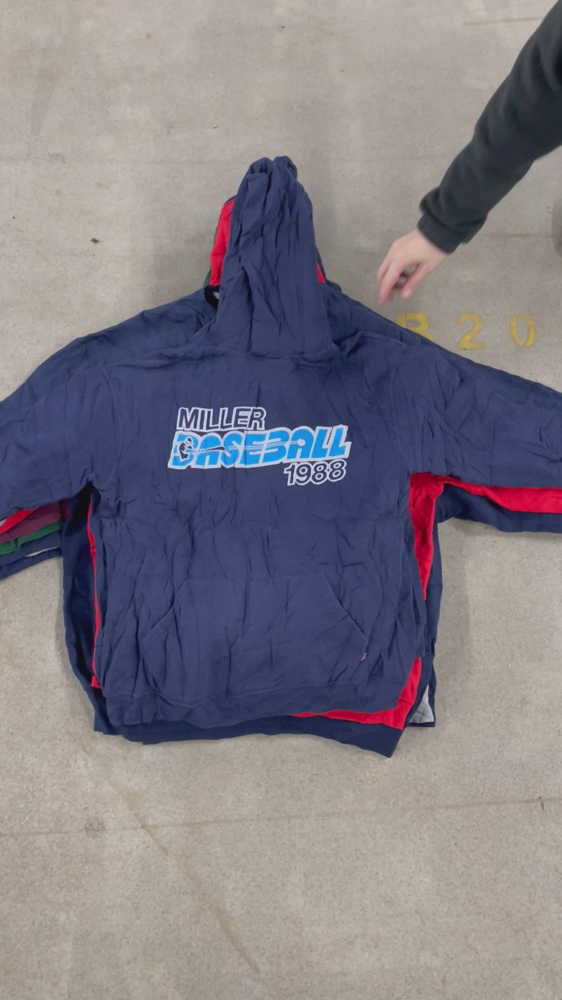 Collection of 25X RUSSELL SWEATS in a gallery layout