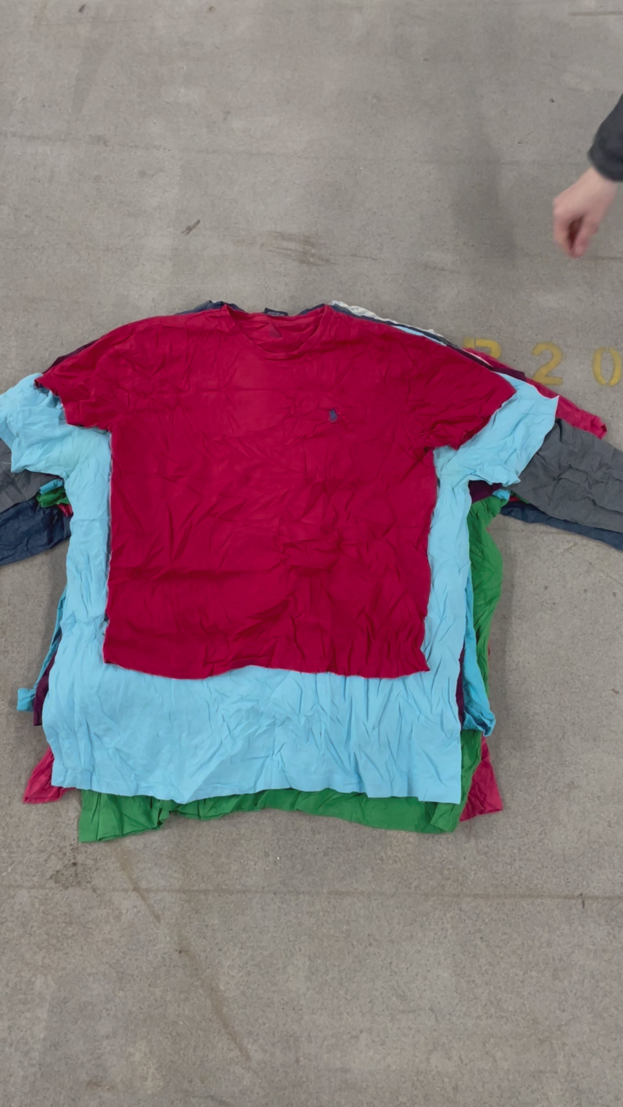Collection of 50X POLO T-SHIRT MEN LADIES MIX A/B in a gallery layout