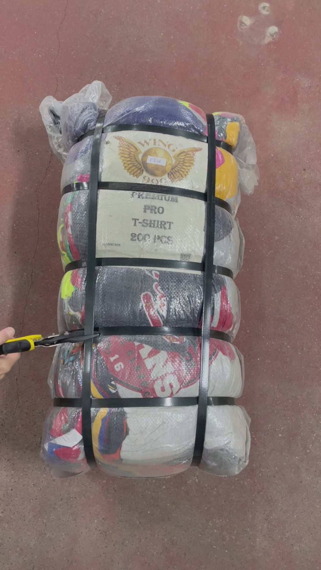 Collection of 100X SPORT T-SHIRTS in a gallery layout