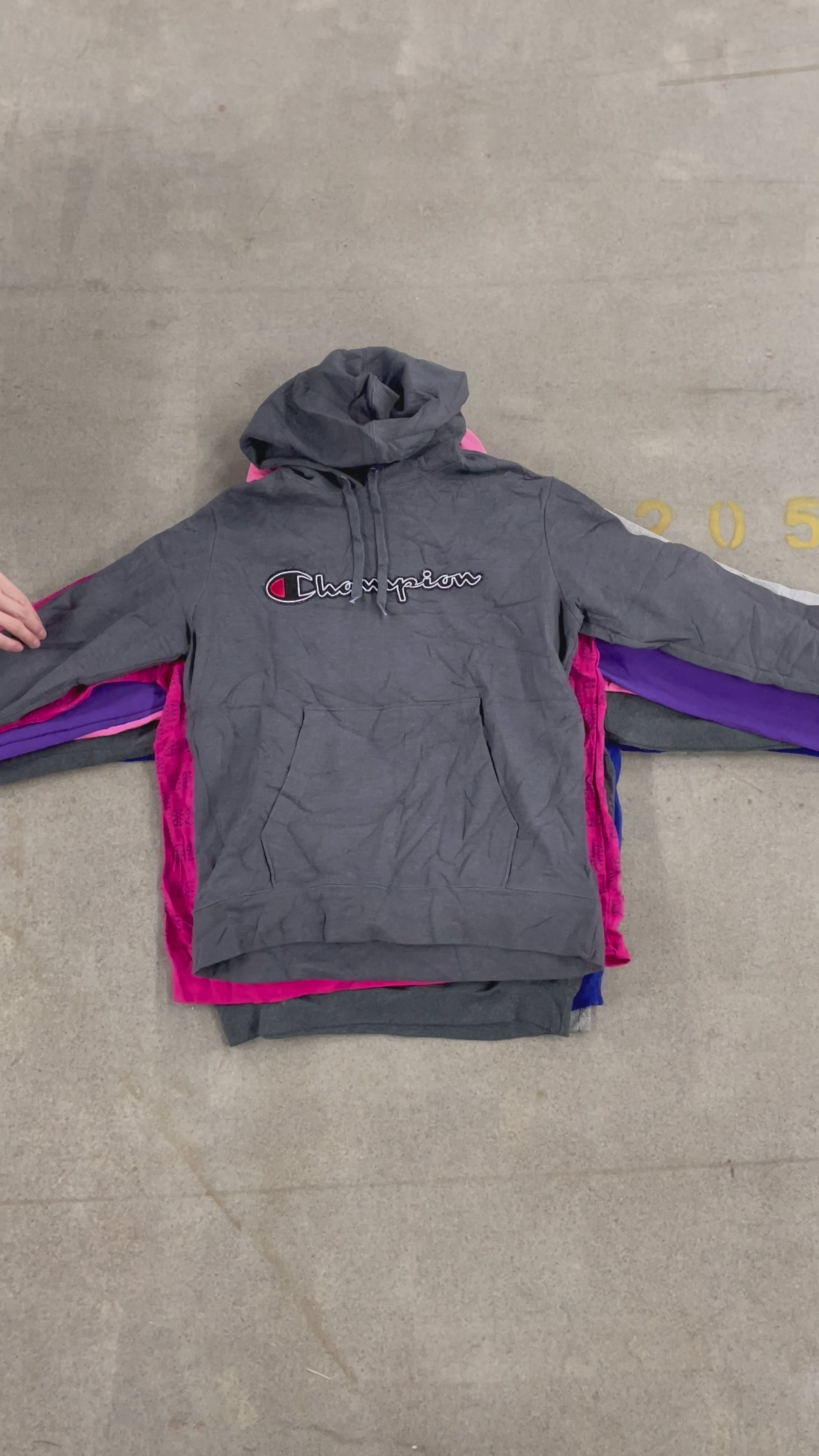 Collection of 25X CHAMPION SWEATSHIRTS/ HOODIES in a gallery layout
