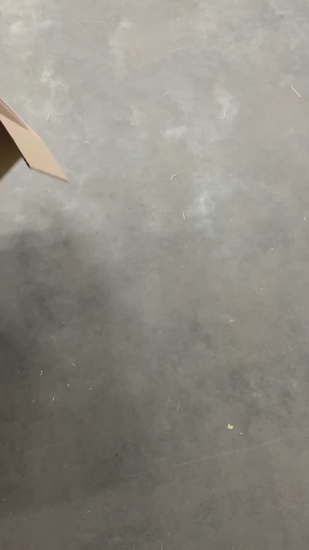 Collection of 50X USA FLAG SWEATERS in a gallery layout