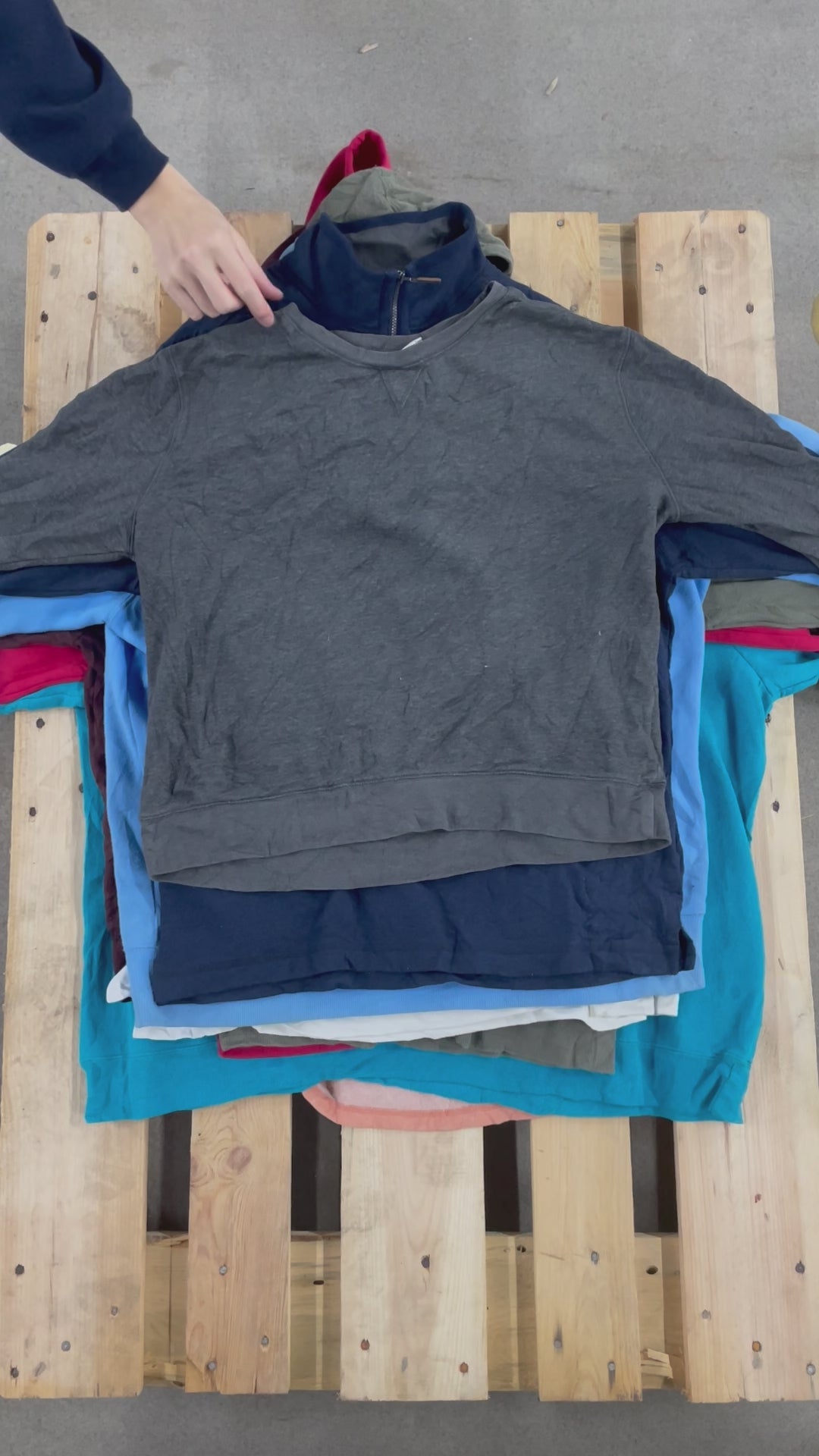 Collection of 50X PLAIN SWEATSHIRTS in a gallery layout
