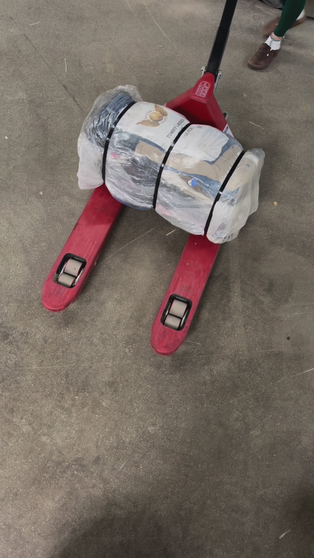 Collection of 50X TOMMY HILFIGER LADIES PANTS in a gallery layout