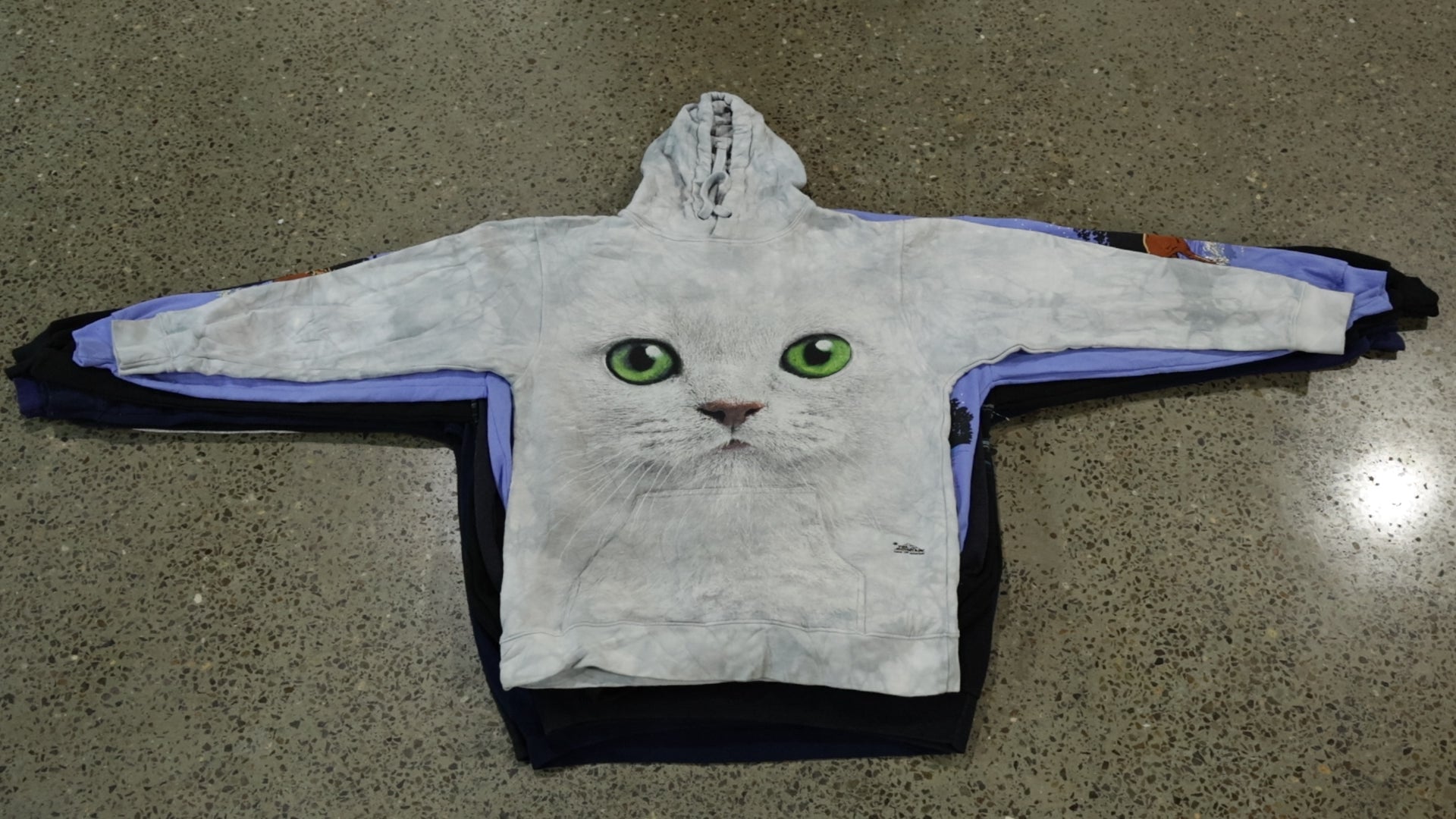Collection of Graphic Sweatshirts in a gallery layout