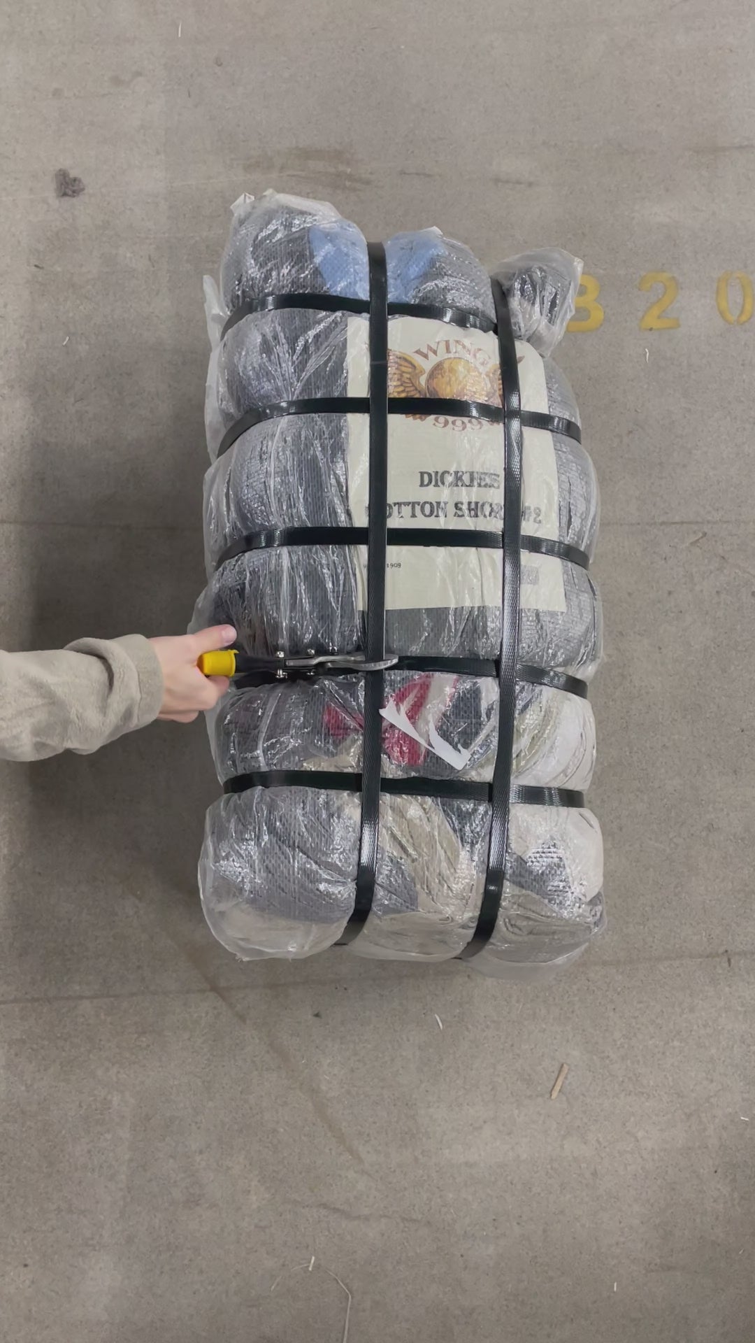 Collection of 50X DICKIES COTTON SHORT GRADE B in a gallery layout