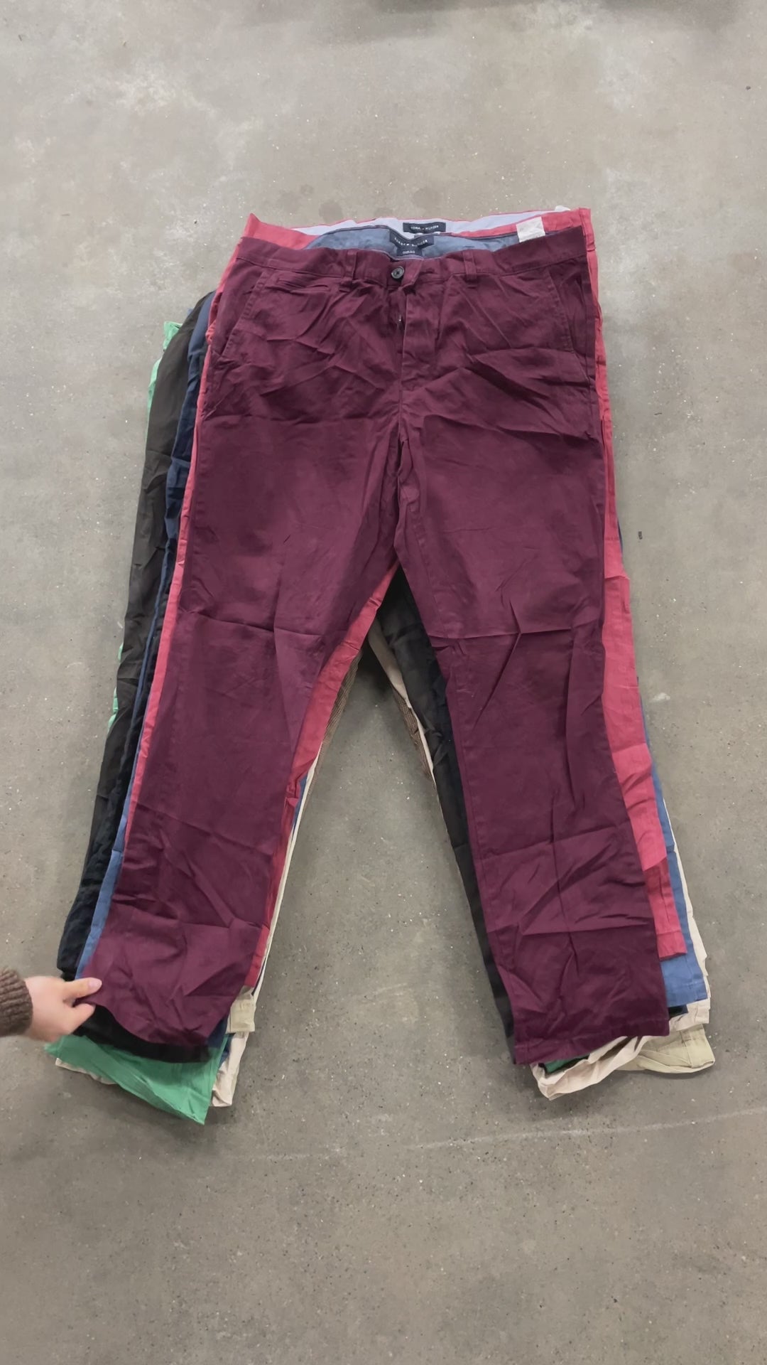 Collection of Tommy cotton pants in a gallery layout