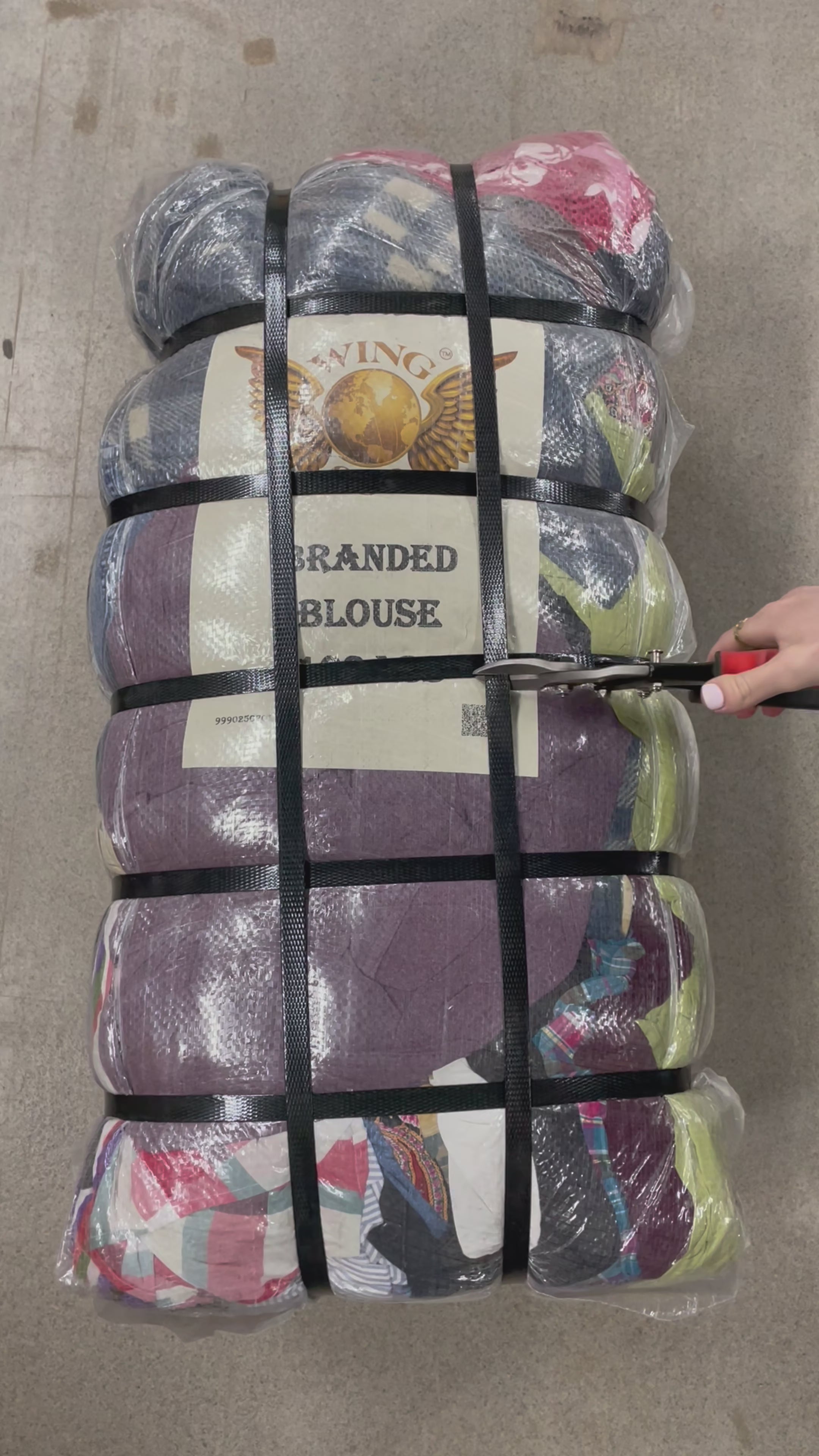 Collection of branded blouse in a gallery layout