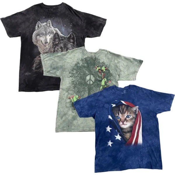 Collection of  in a gallery layout